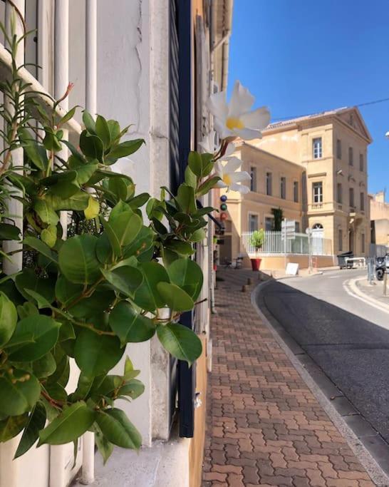 Studios Du Marin Sur Port De La Ciotat Luaran gambar